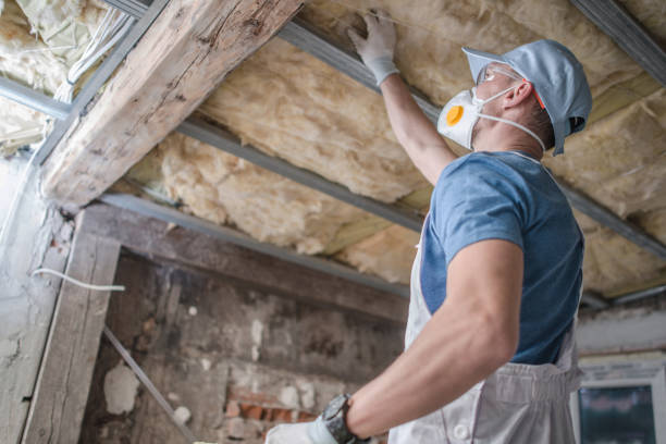Best Cellulose Insulation in Irvine, CA