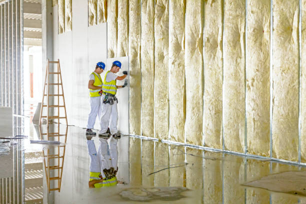 Best Eco-Friendly Insulation in Irvine, CA